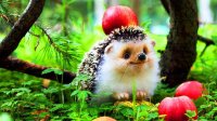 Создать мем Ёжик
