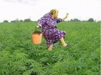 Создать мем Юрмала