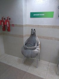 Создать мем Ждун в детском уголке