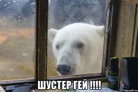  шустер гей !!!!