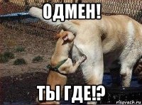 одмен! ты где!?
