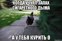 когда учуял запах сигаретного дыма а у тебя курить 0