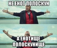 не енот полоскун а енотище полоскунище