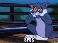  spss