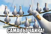  сама ты чайка!