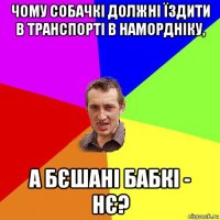 чому собачкі должні їздити в транспорті в намордніку, а бєшані бабкі - нє?