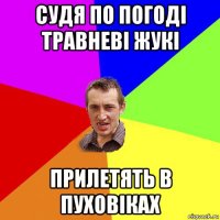 судя по погоді травневі жукі прилетять в пуховіках