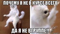 почему я не в курсе всего да я не вгруппе!!