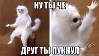 ну ты че друг ты пукнул