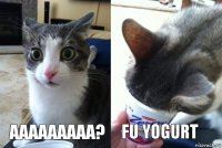 ааааааааа? fu yogurt