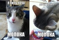 Я пить хочу Молока Держи котяра Молока