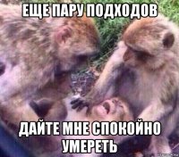 еще пару подходов дайте мне спокойно умереть