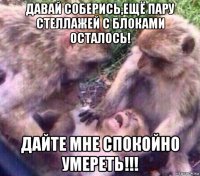 давай соберись,ещё пару стеллажей с блоками осталось! дайте мне спокойно умереть!!!