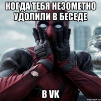 когда тебя незометно удолили в беседе в vk