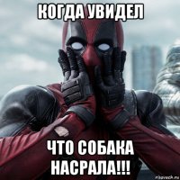 когда увидел что собака насрала!!!