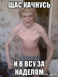 щас качнусь и в всу за наделом