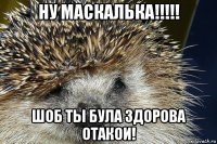 ну маскалька!!!!! шоб ты була здорова отакои!