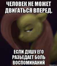человек не может двигаться вперед, если душу его разьедает боль воспоминаний