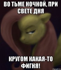 во тьме ночной, при свете дня кругом какая-то фигня!