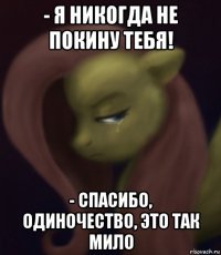 - я никогда не покину тебя! - спасибо, одиночество, это так мило