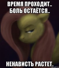 время проходит.. боль остаётся.. ненависть растет.