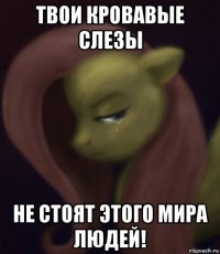 твои кровавые слезы не стоят этого мира людей!