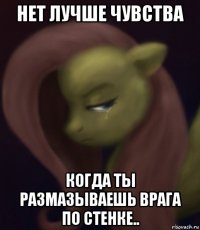 нет лучше чувства когда ты размазываешь врага по стенке..