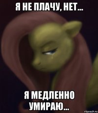 я не плачу, нет... я медленно умираю...