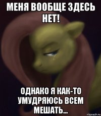 меня вообще здесь нет! однако я как-то умудряюсь всем мешать...