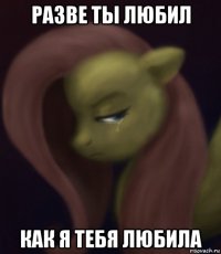 разве ты любил как я тебя любила