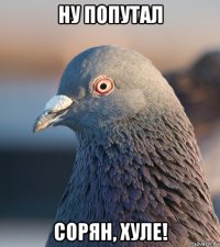 ну попутал сорян, хуле!