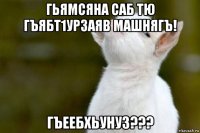 гьямсяна саб тю гъябт1урзаяв машнягъ! гъеебхьунуз???