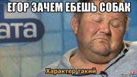 егор зачем ебешь собак 