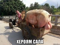  хероям сала