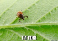  і я теж!