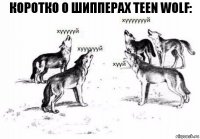 Коротко о шипперах Teen Wolf: