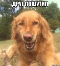 друг пошутил 