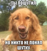 ты пошутил но никто не понял шутку