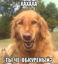 хахаха ты че, обкуреный?