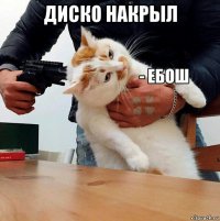 диско накрыл 