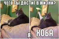 чего ты достиг в жизни? я: