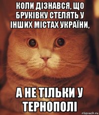 коли дізнався, що бруківку стелять у інших містах україни, а не тільки у тернополі