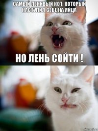 самый ленивый кот, который наступил себе на яйца но лень сойти !