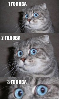 1 голова 2 голова 3 голова