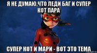 я не думаю,что леди баг и супер кот пара супер кот и мари - вот это тема