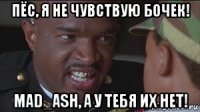 пёс, я не чувствую бочек! mad_ash, а у тебя их нет!