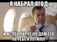 я набрал ягод и испёк пирог но дам его не тебе а путину!