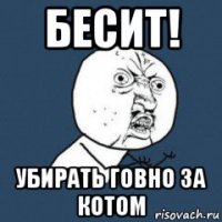 бесит! убирать говно за котом