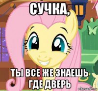 сучка, ты все же знаешь где дверь
