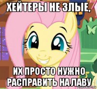 хейтеры не злые, их просто нужно расправить на лаву